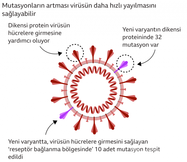 Omicron varyantı Hakkında Derleme