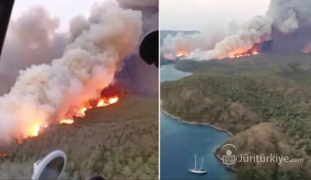 Muğla'nın Köyceğiz ilçesinde orman yangını çıktı.