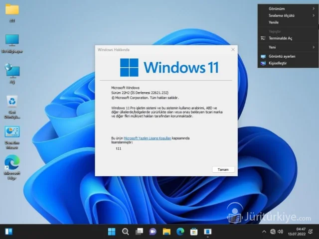 W11 Pro X64 Tr Mixed 2022 07 13 Optimal 22h2 22621.232
