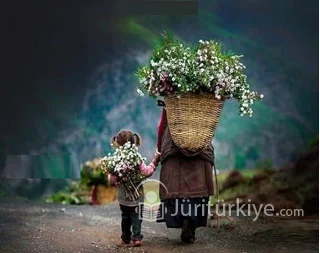 Düşünceler ve Sınırlar